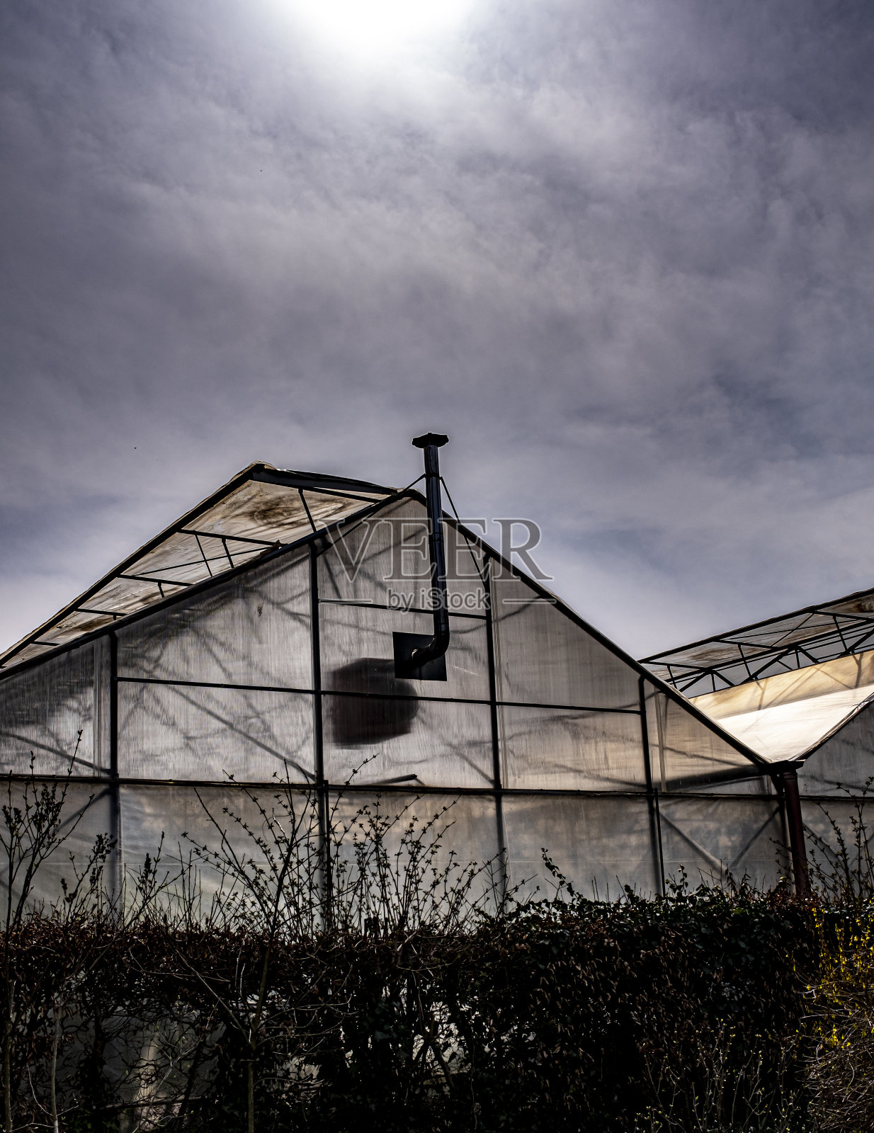 温室照片摄影图片