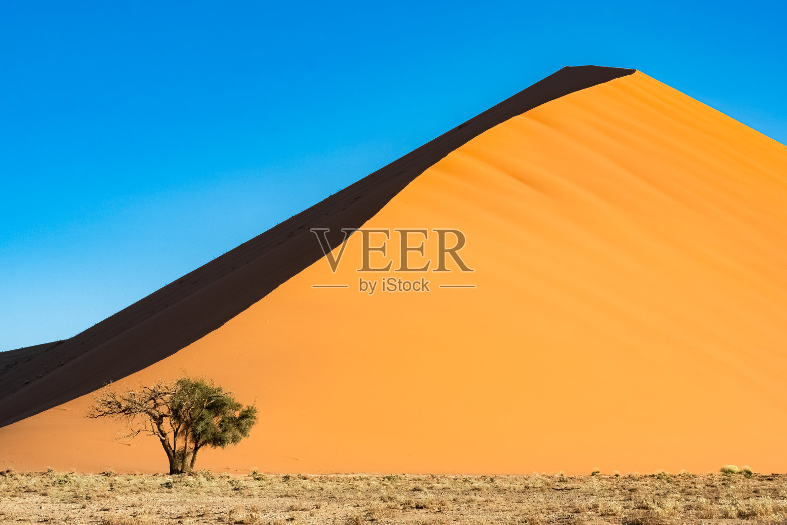 纳米比亚，纳米布沙漠，红色的沙丘照片摄影图片