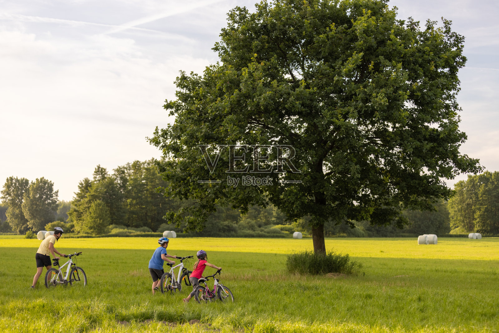 夏天，三个孩子在草地上推着自行车，朝着一棵美丽的树走去照片摄影图片
