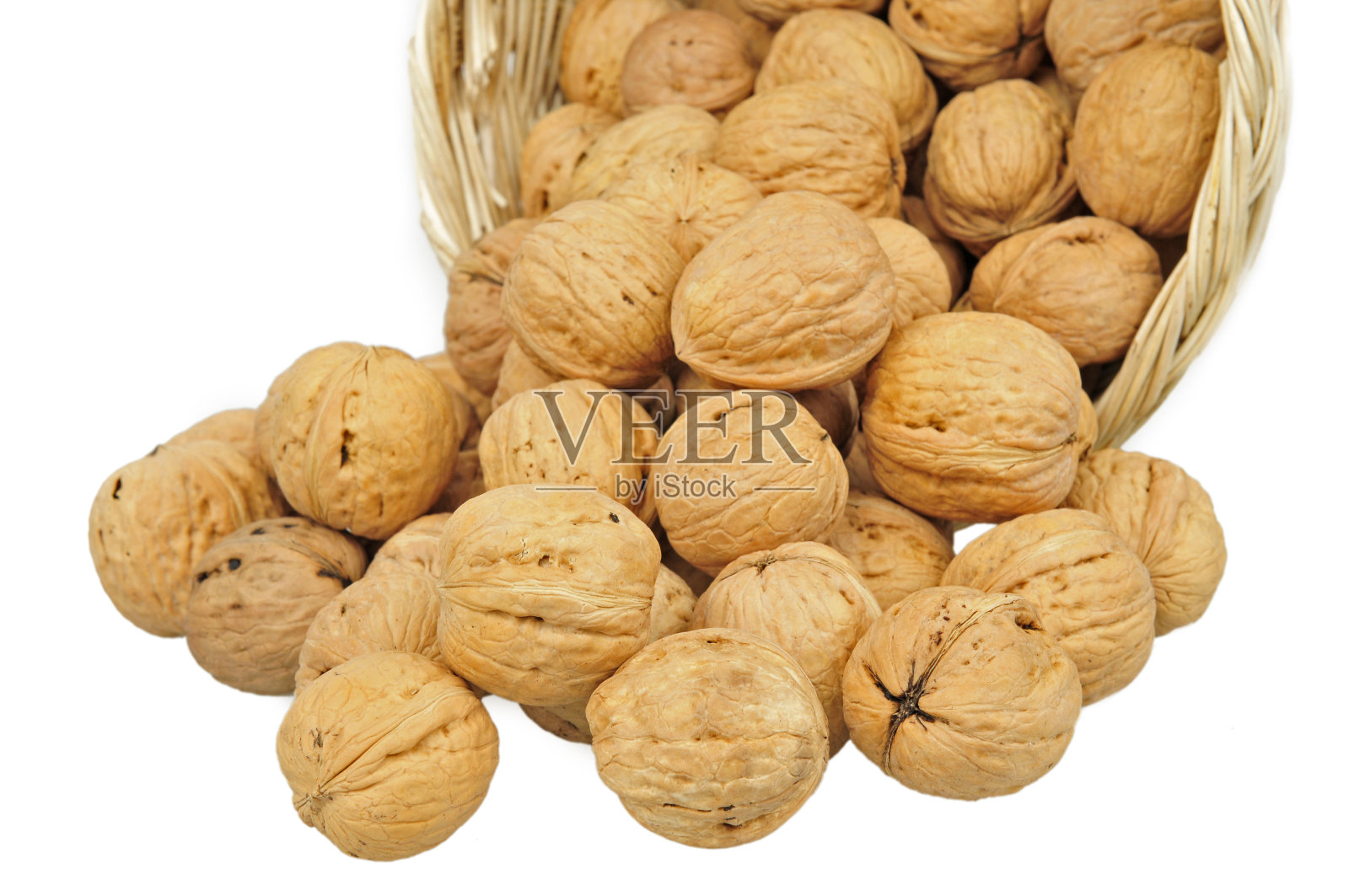 白色背景的胡桃木照片摄影图片