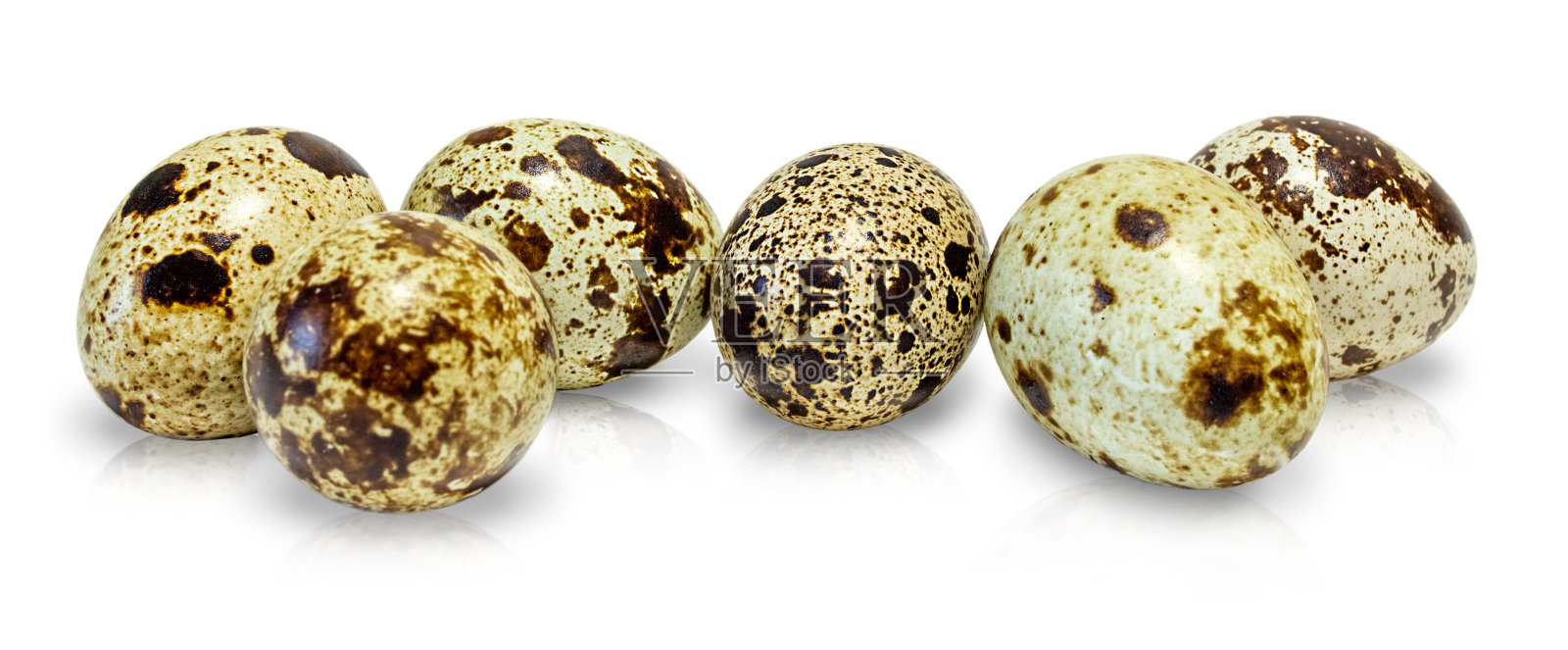 几个鹌鹑蛋孤立在白色上照片摄影图片