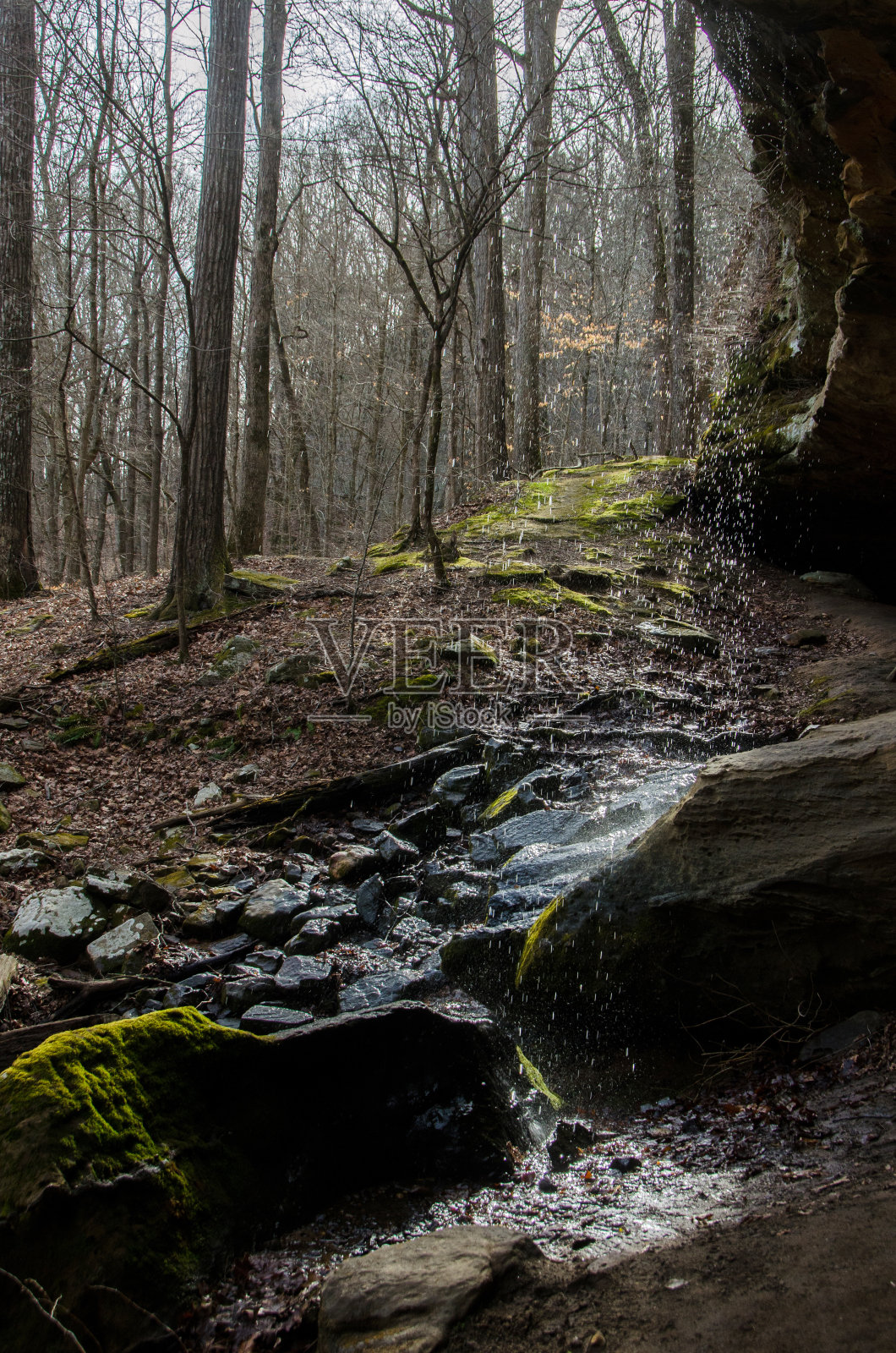 Ferne Clyffe州立公园：鹰穴小径，瀑布后方照片摄影图片