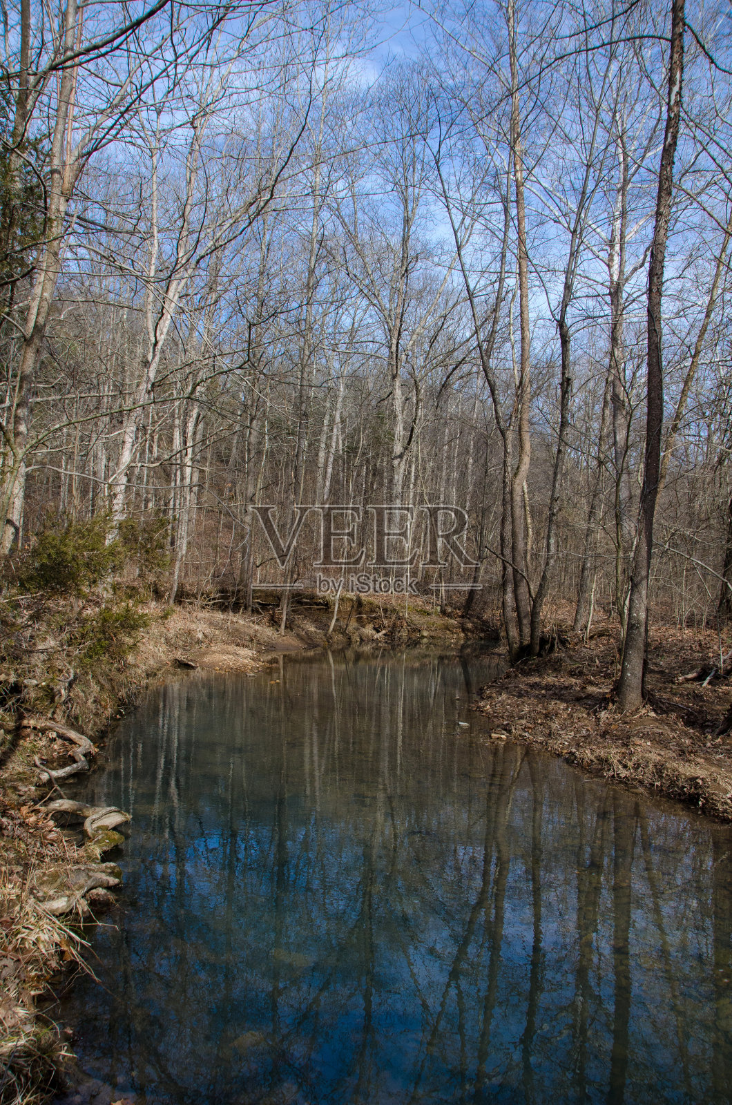 Ferne Clyffe州立公园鹰穴小径竖版倒影照片摄影图片