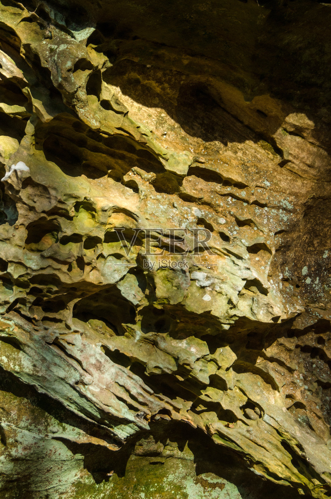 弗恩克利夫州立公园大岩石洼地小径侵蚀岩层（竖版）照片摄影图片