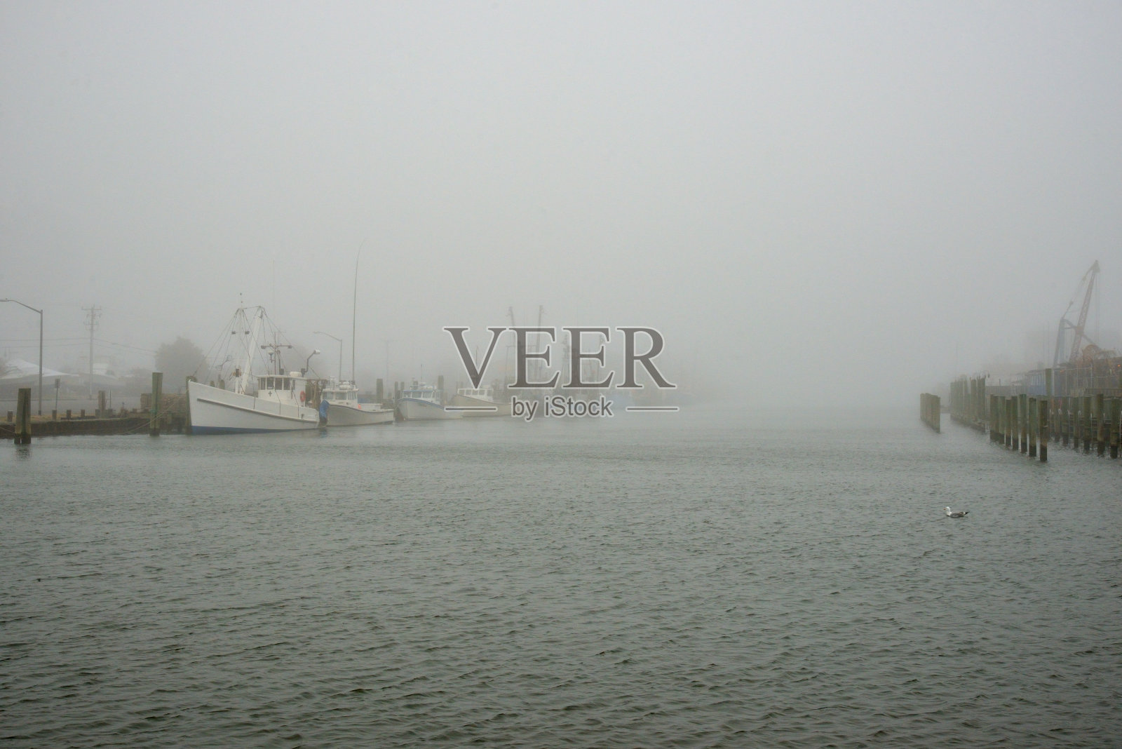 渔船队在雾中停泊照片摄影图片