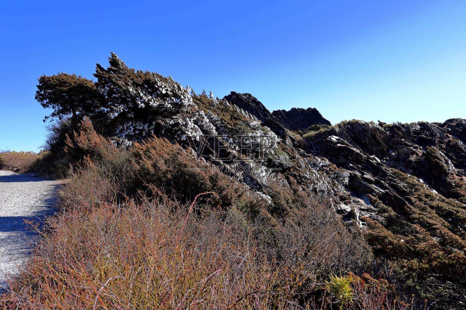 河环山森林游览区的山景美景照片摄影图片