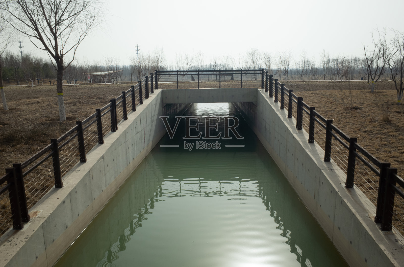 春天是植物重新生长的季节照片摄影图片