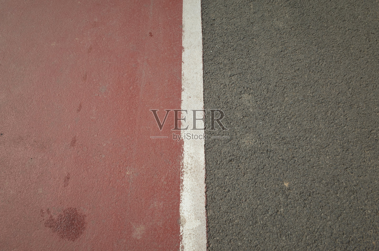 春天是植物重新生长的季节照片摄影图片