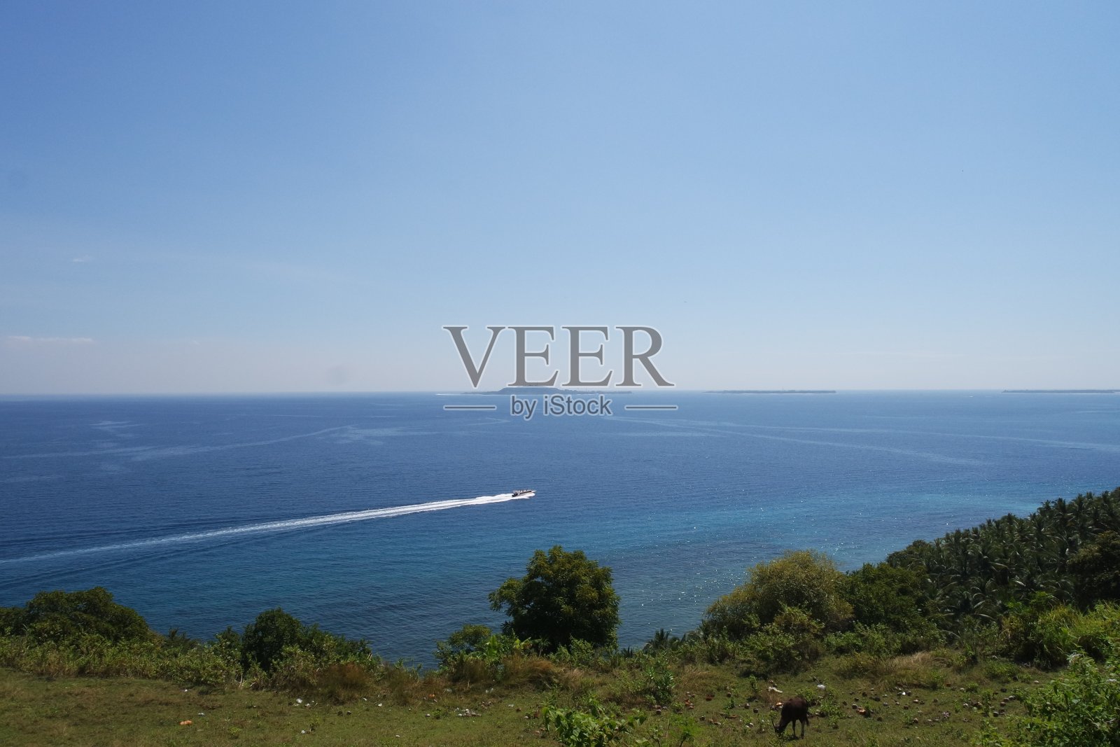 蓝色海面上有一艘快艇照片摄影图片