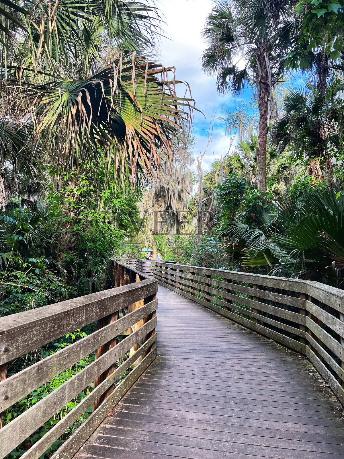 行走路径照片摄影图片