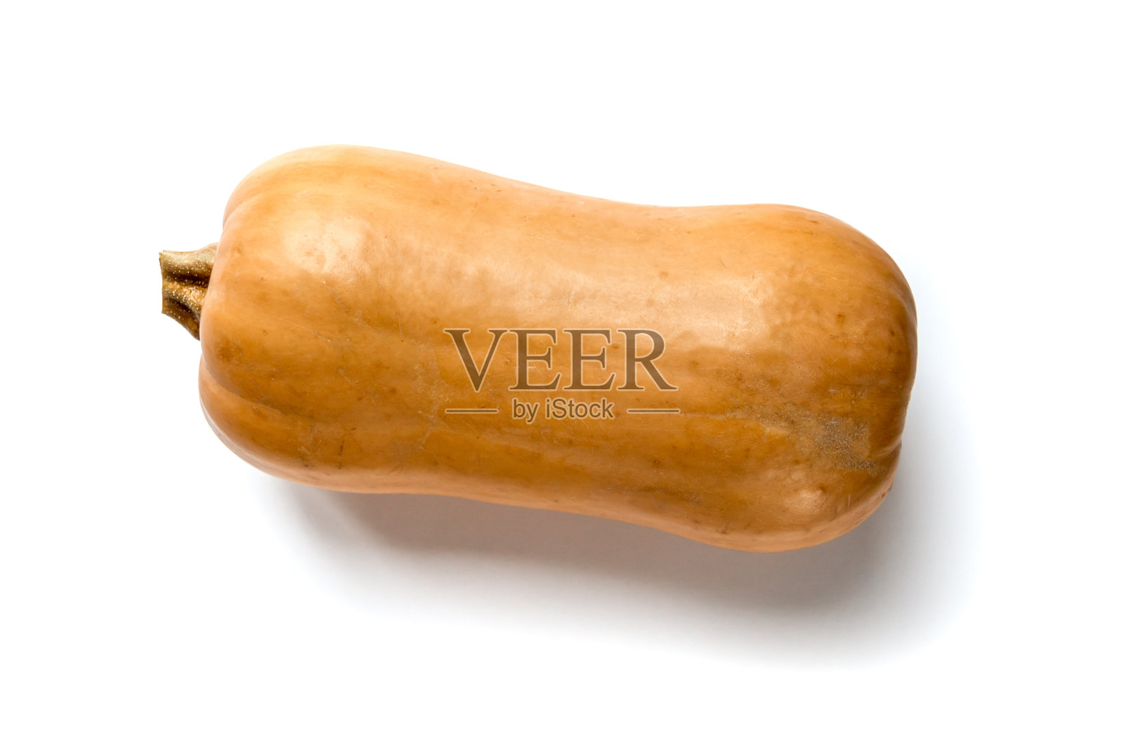 白背景上孤立的冬南瓜照片摄影图片