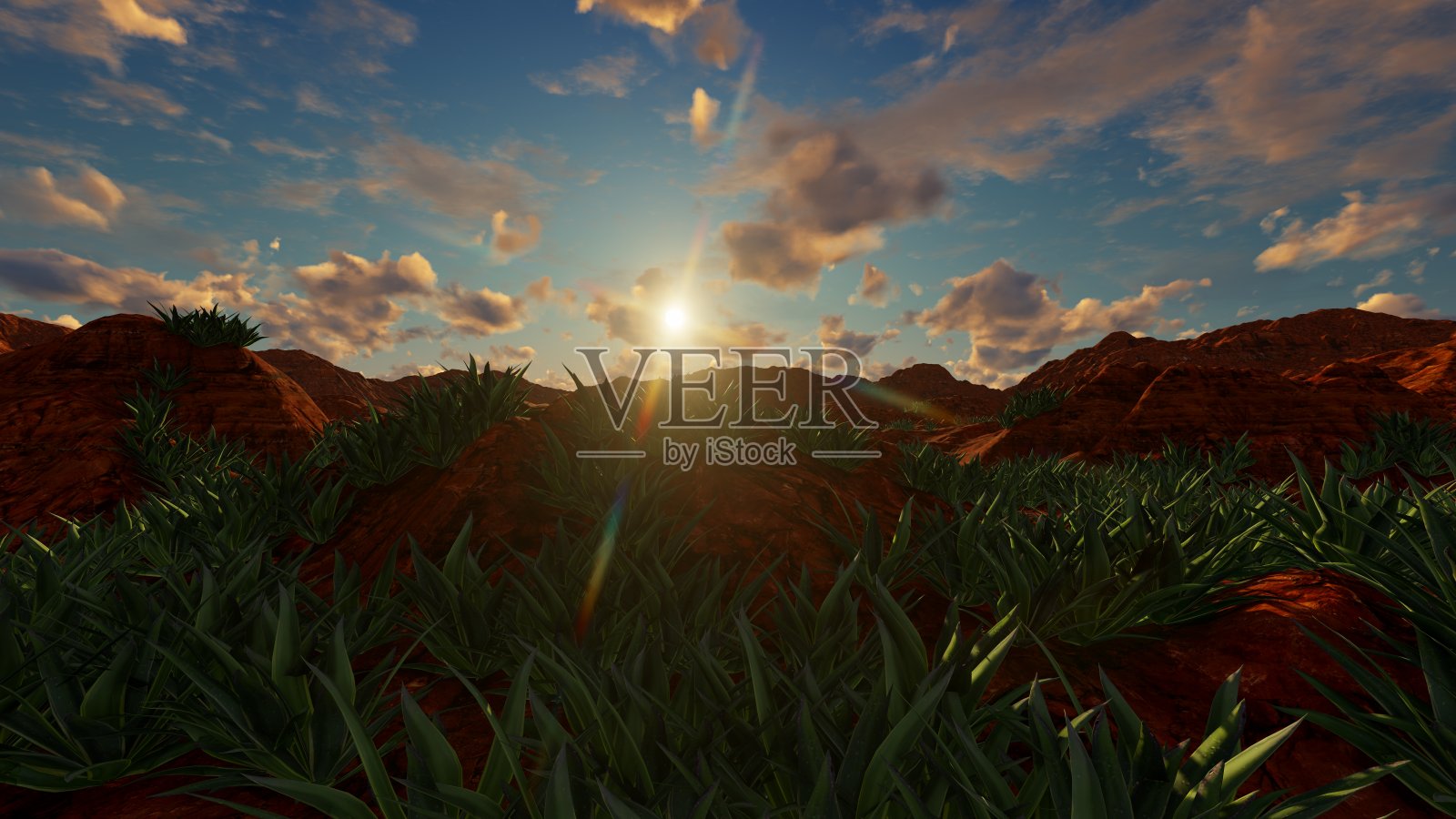 芦荟植物在干燥的沙漠景观，3d插图照片摄影图片