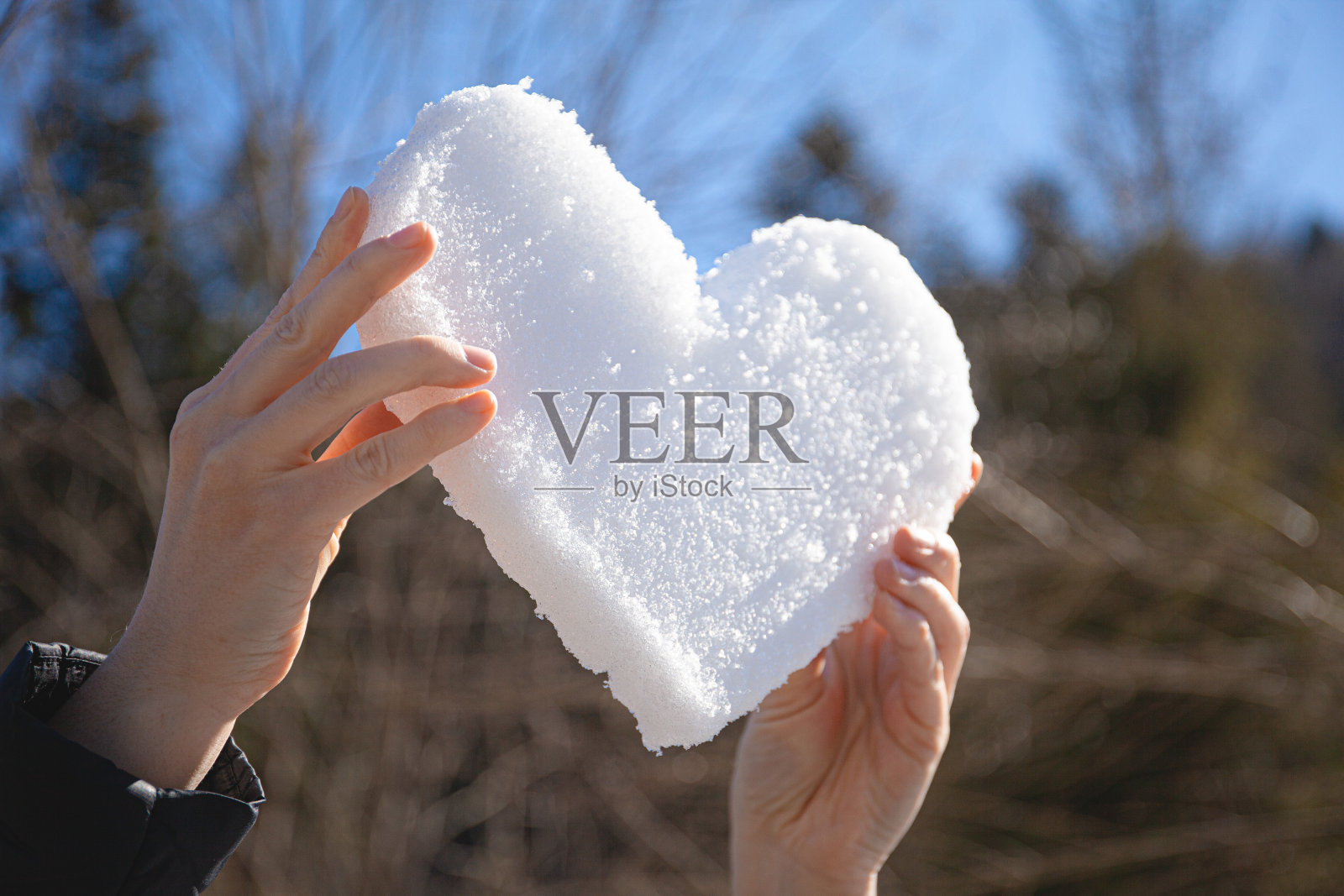 手握雪心，特写镜头。喜欢冬天的季节。照片摄影图片