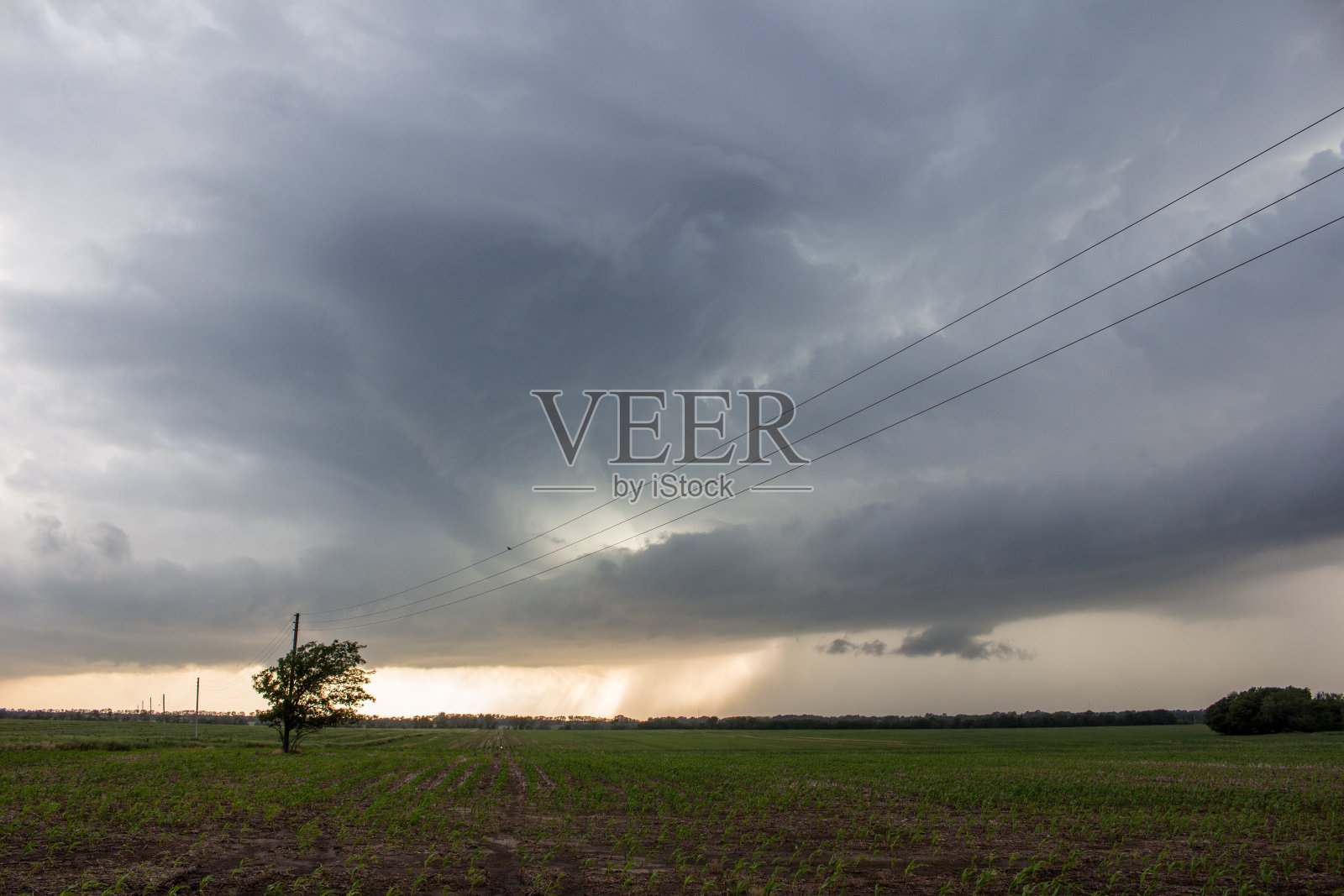 堪萨斯超晶胞照片摄影图片