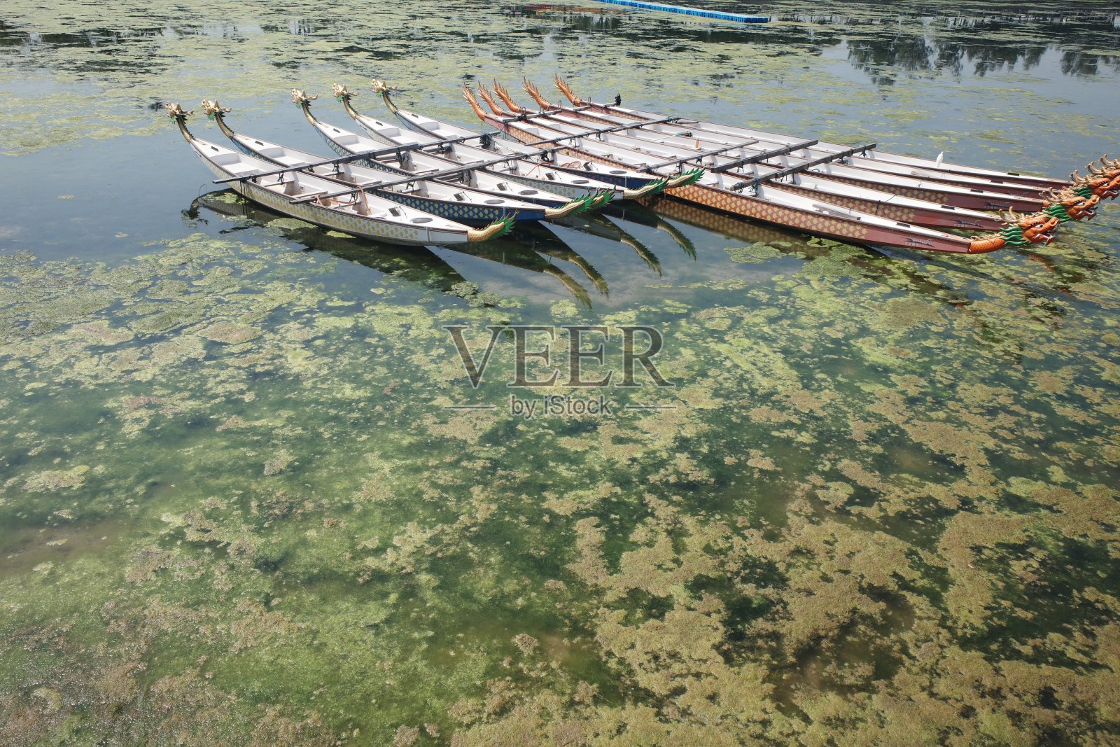 几只龙舟躺在满是水和草的水中照片摄影图片