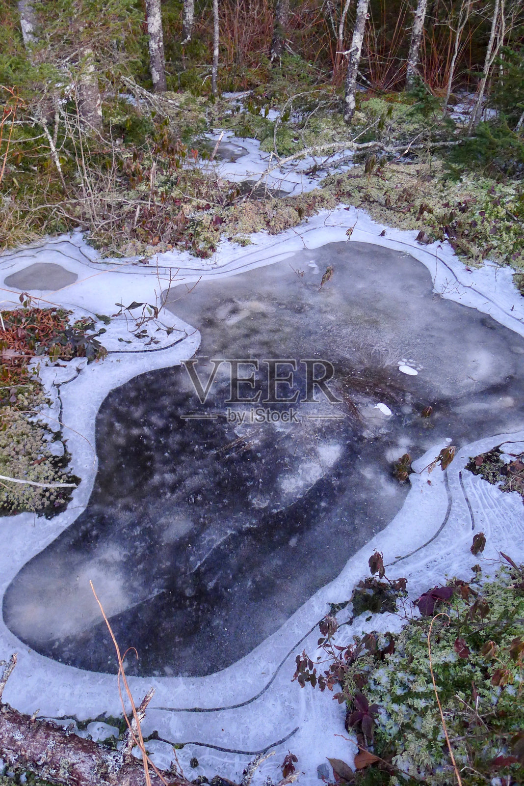 冰冻水坑池塘湖与冰轮廓照片摄影图片