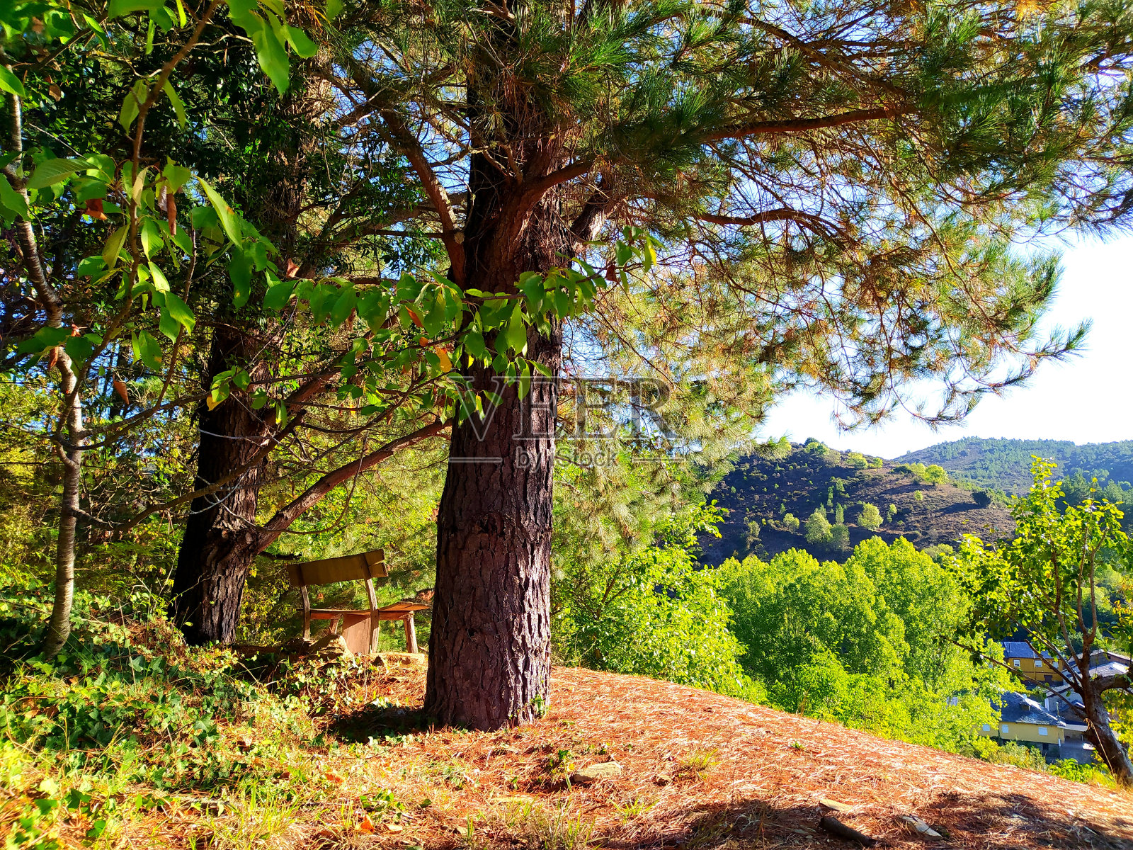 板凳上照片摄影图片
