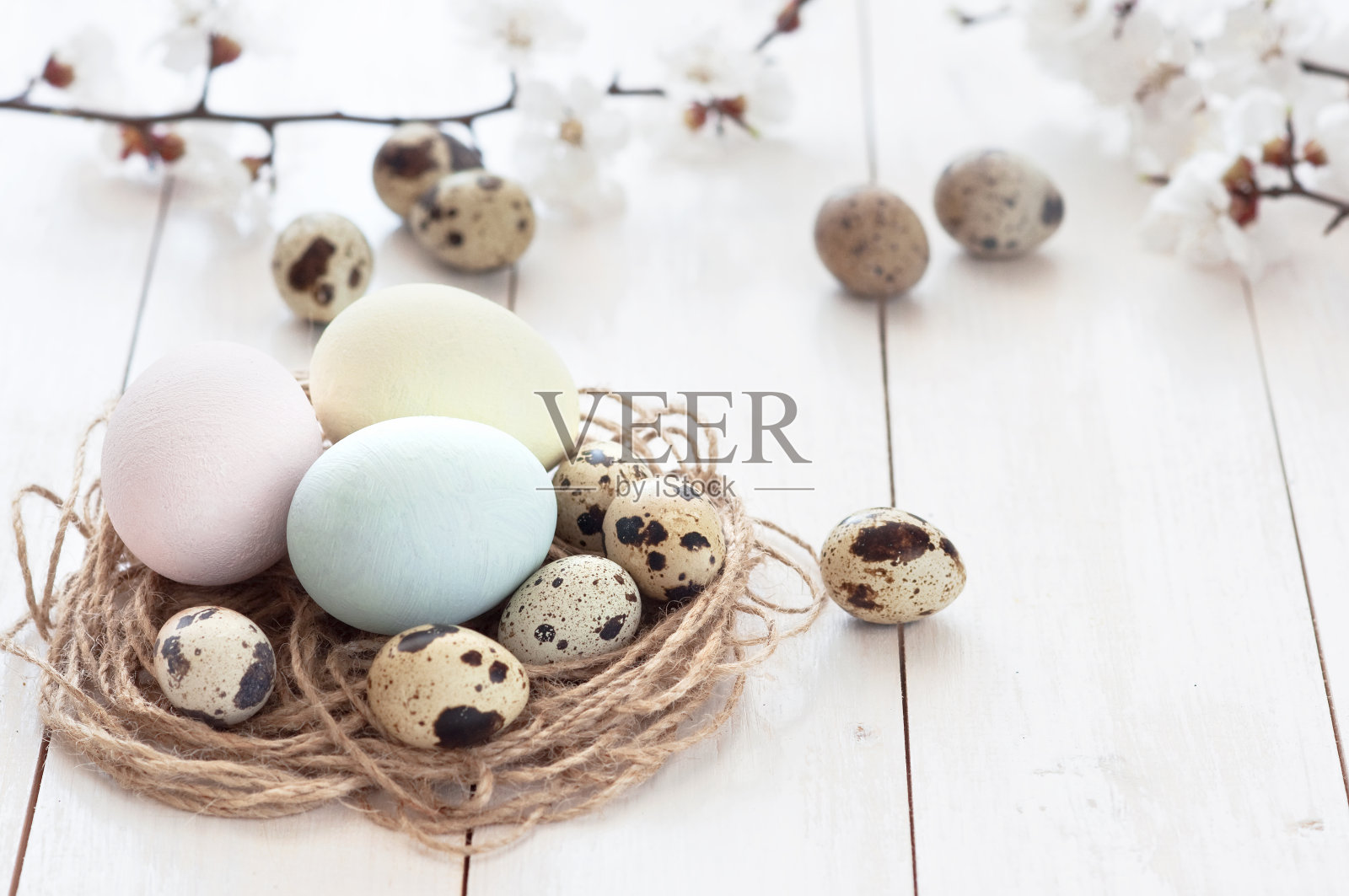 彩色鸡和鹌鹑蛋与春天开花的树枝在白色木制背景。复活节假期的概念。春天的背景照片摄影图片