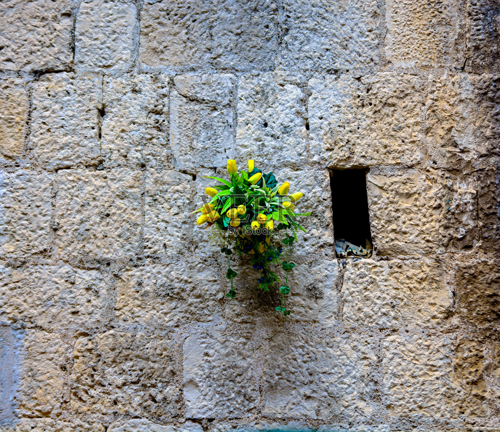 石墙上的一束黄色郁金香照片摄影图片