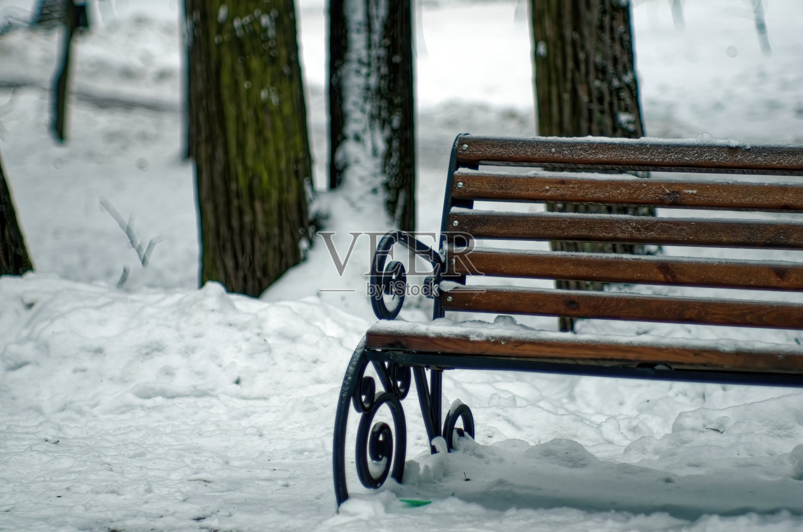 公园长椅上阴天照片摄影图片