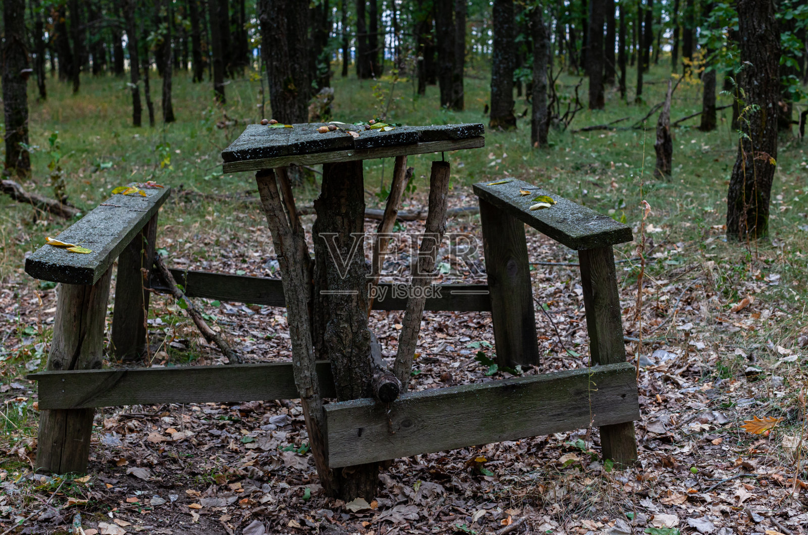 木桌和木凳矗立在森林里照片摄影图片