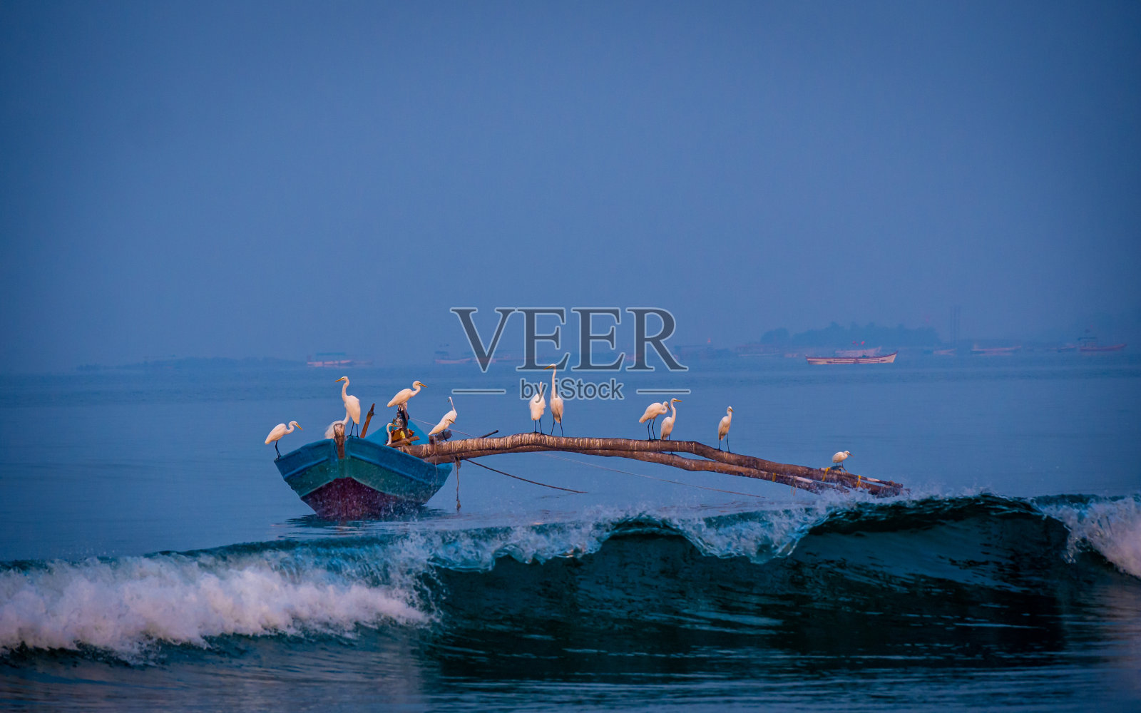 阿拉伯海，一群苍鹭坐在渔夫的船上照片摄影图片