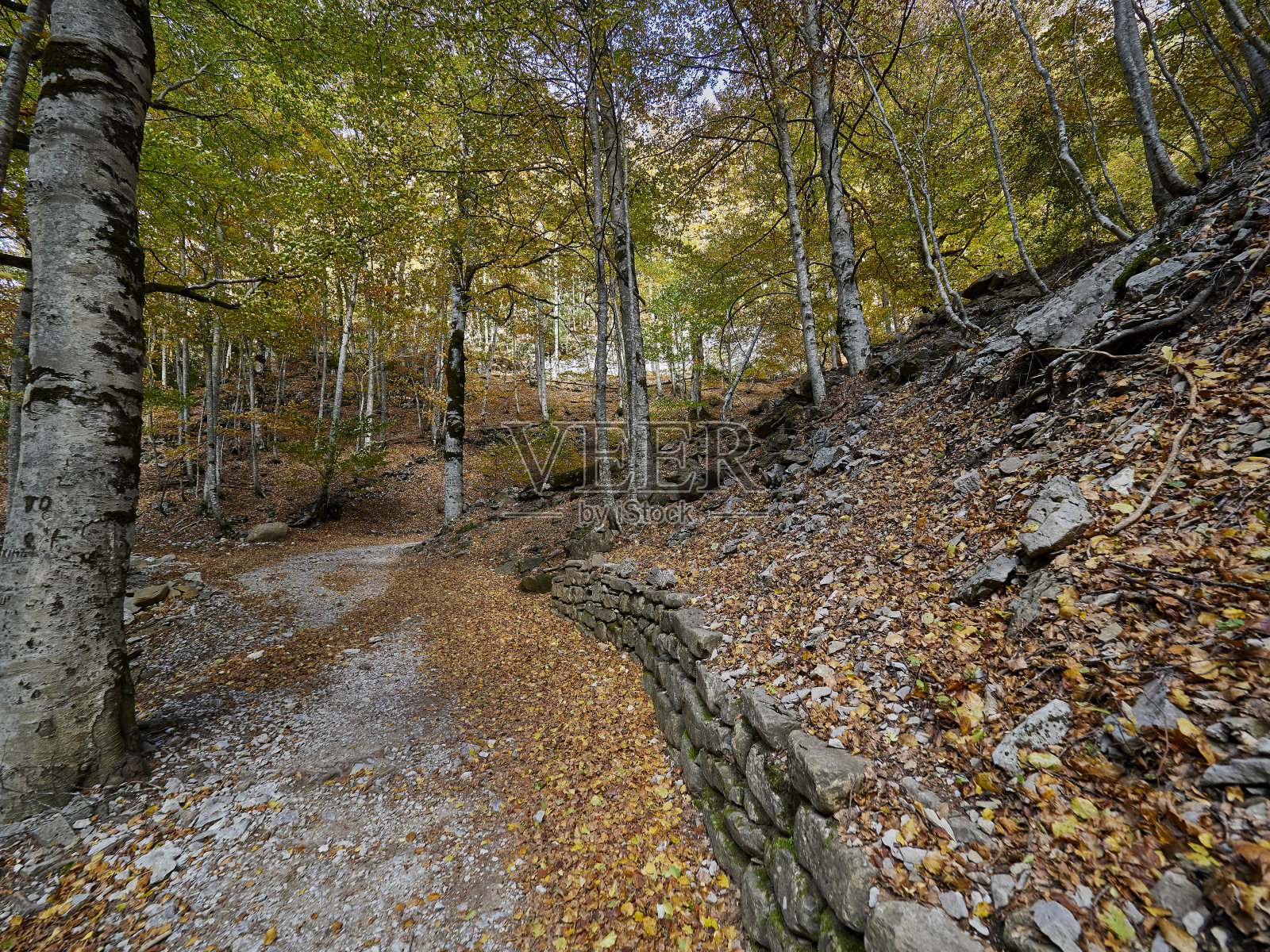 Ordesa国家公园照片摄影图片