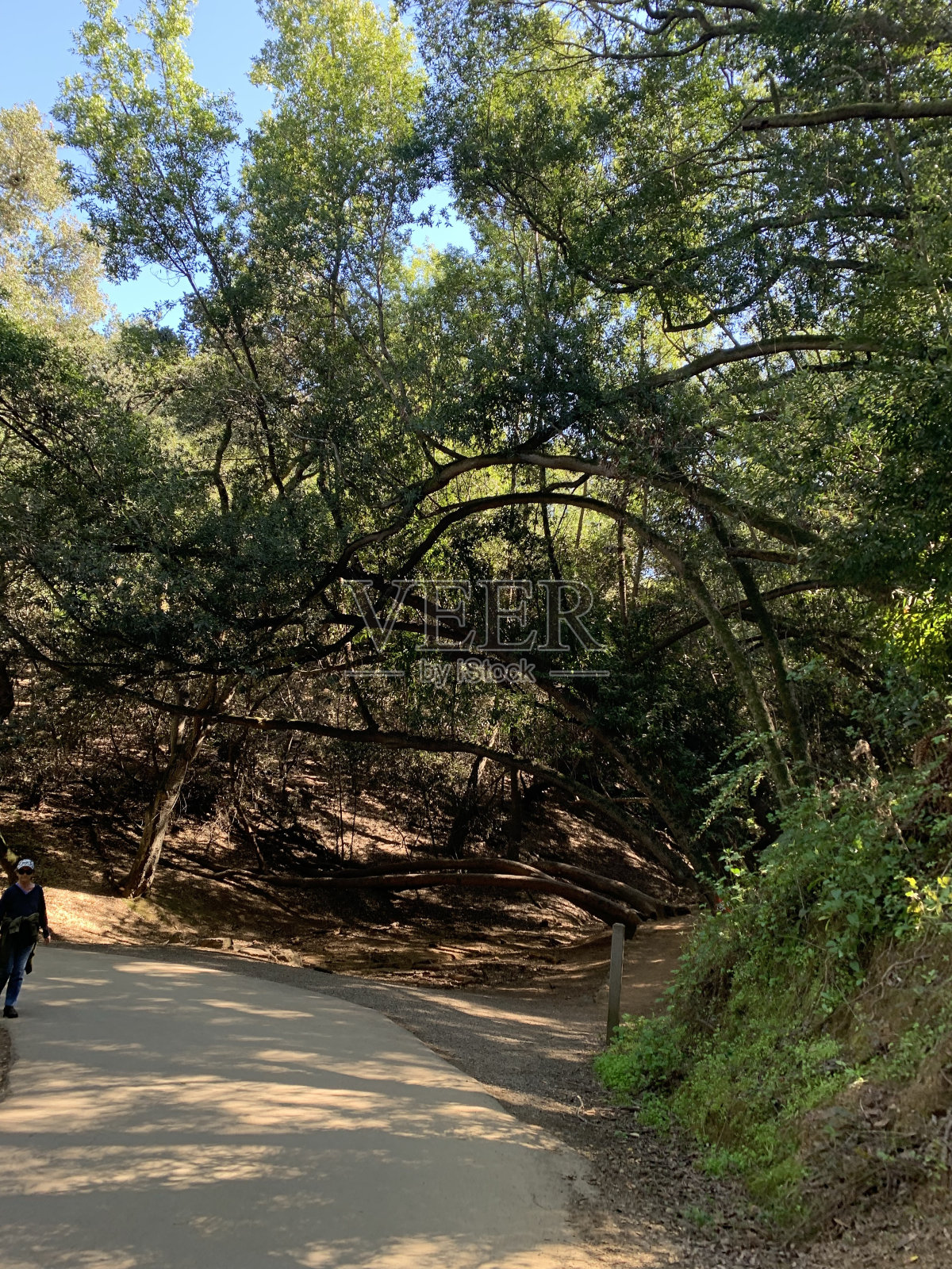 “翠路照片摄影图片