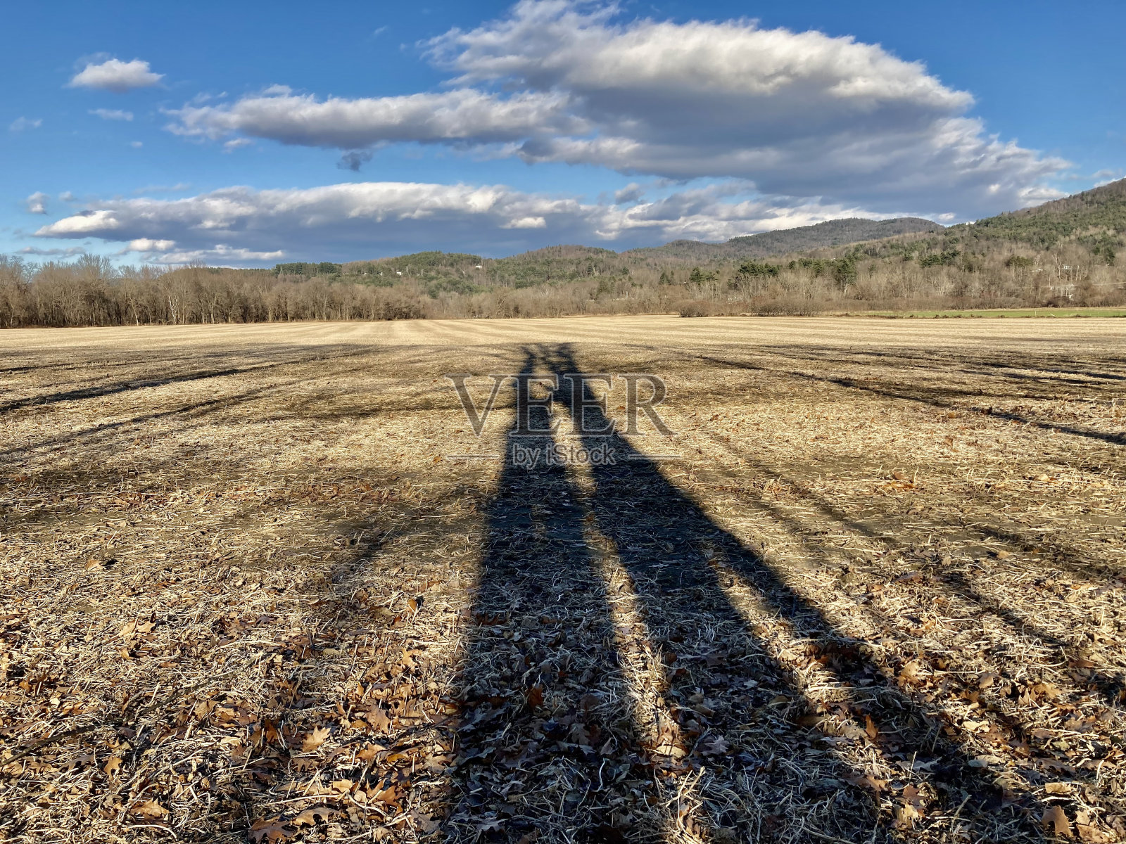 阴影照片摄影图片