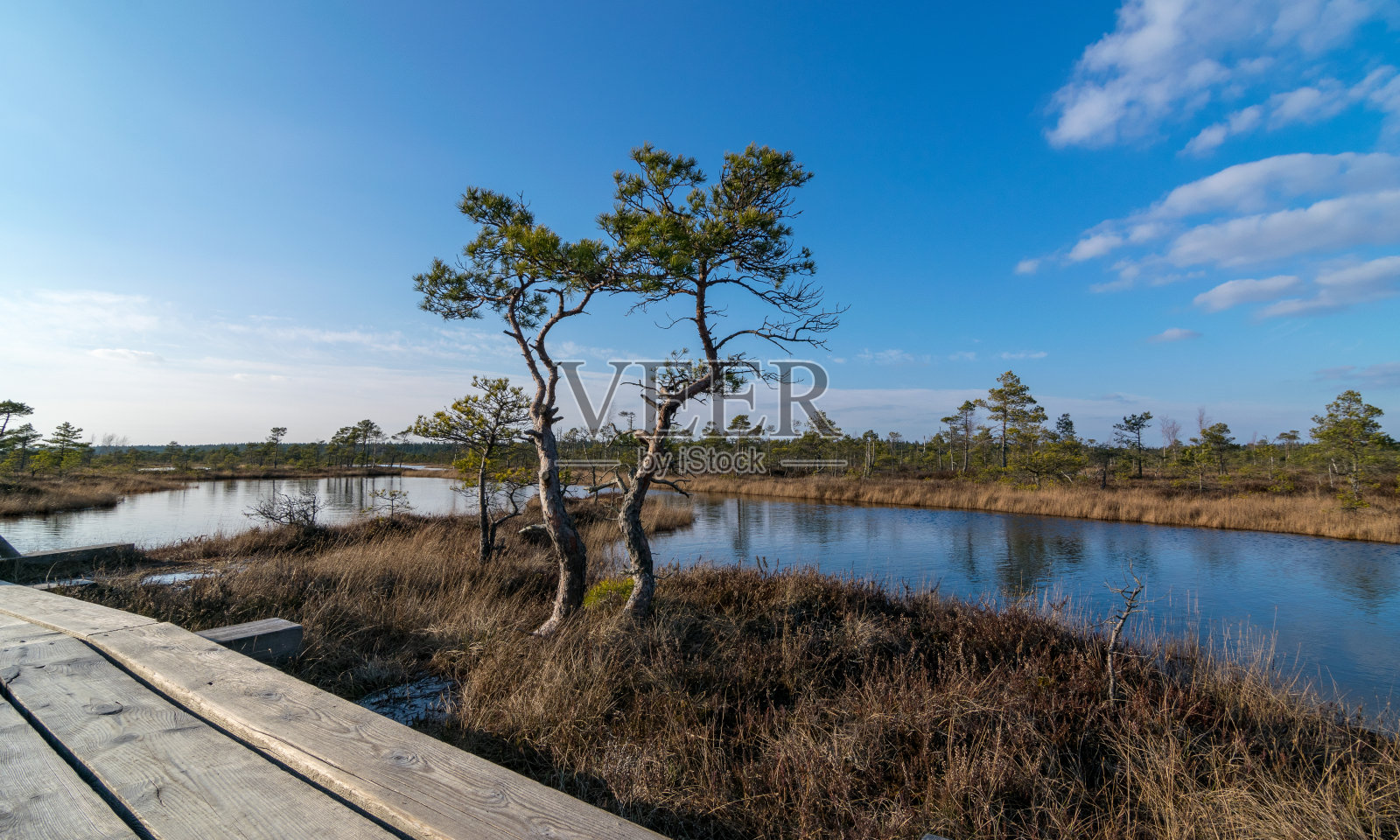 在克梅瑞荒原散步，早春，克梅瑞国家公园，照片摄影图片