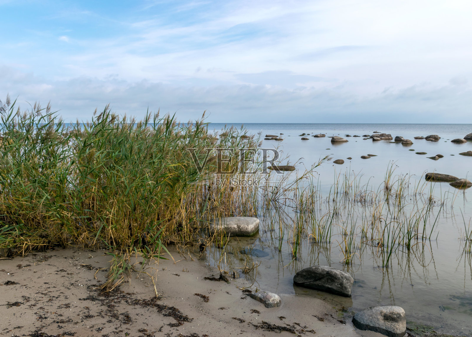 卡尔特尼海滩不同寻常的景观，由覆盖海岸的巨石形成，清晨，卡尔特尼岩石海岸，拉脱维亚照片摄影图片