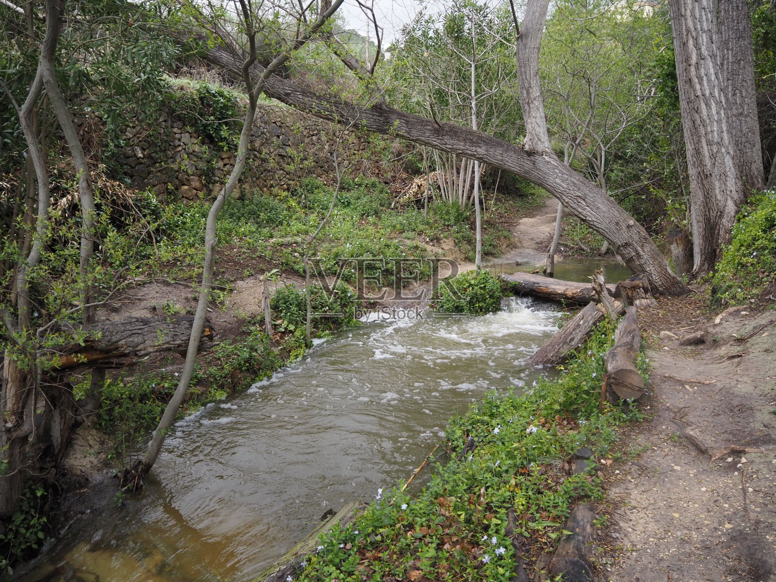 塞拉·阿利坎特·科斯塔·布兰卡照片摄影图片