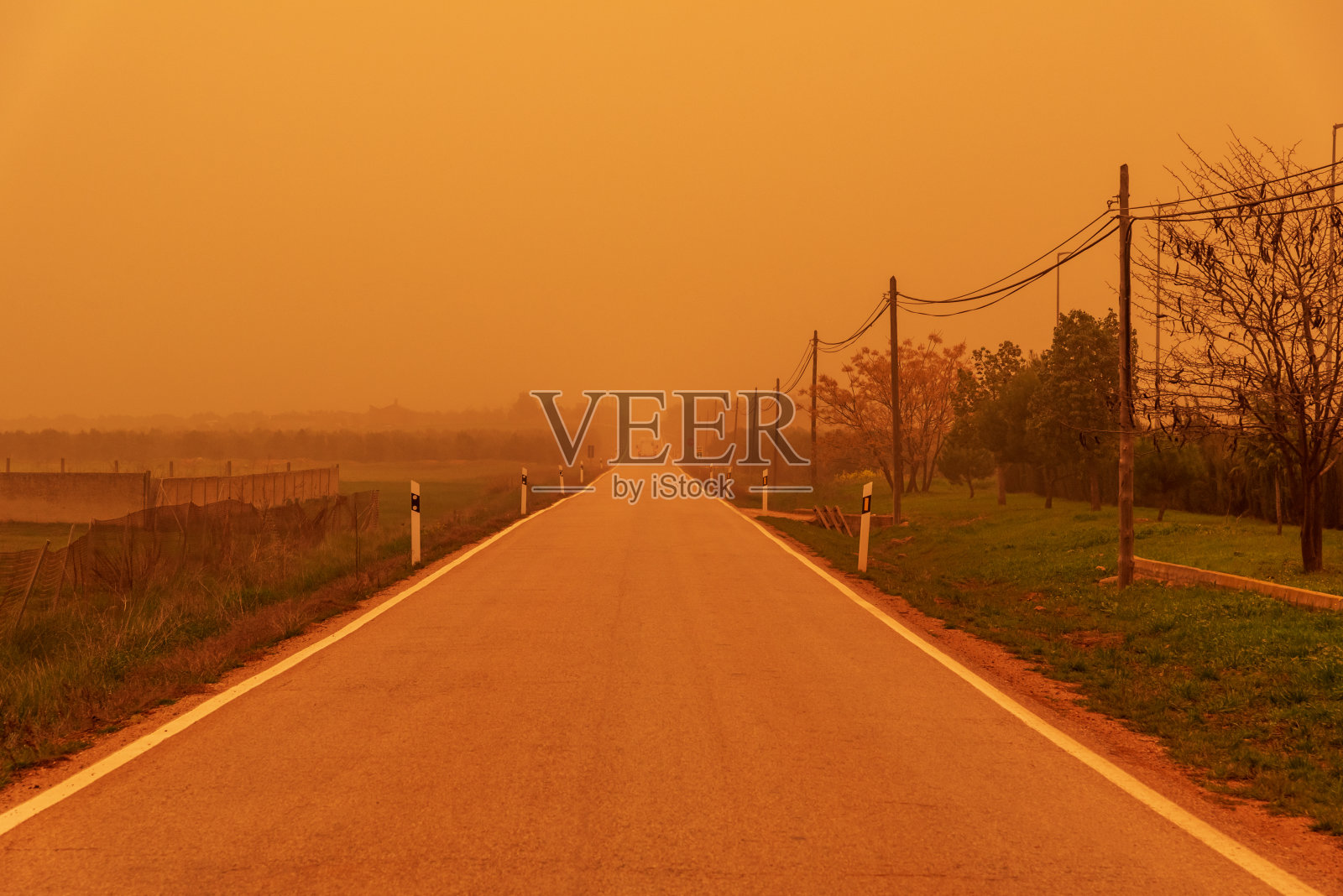 在充满撒哈拉沙尘的一天里，在电线杆旁边的路上直走(卡利马)照片摄影图片