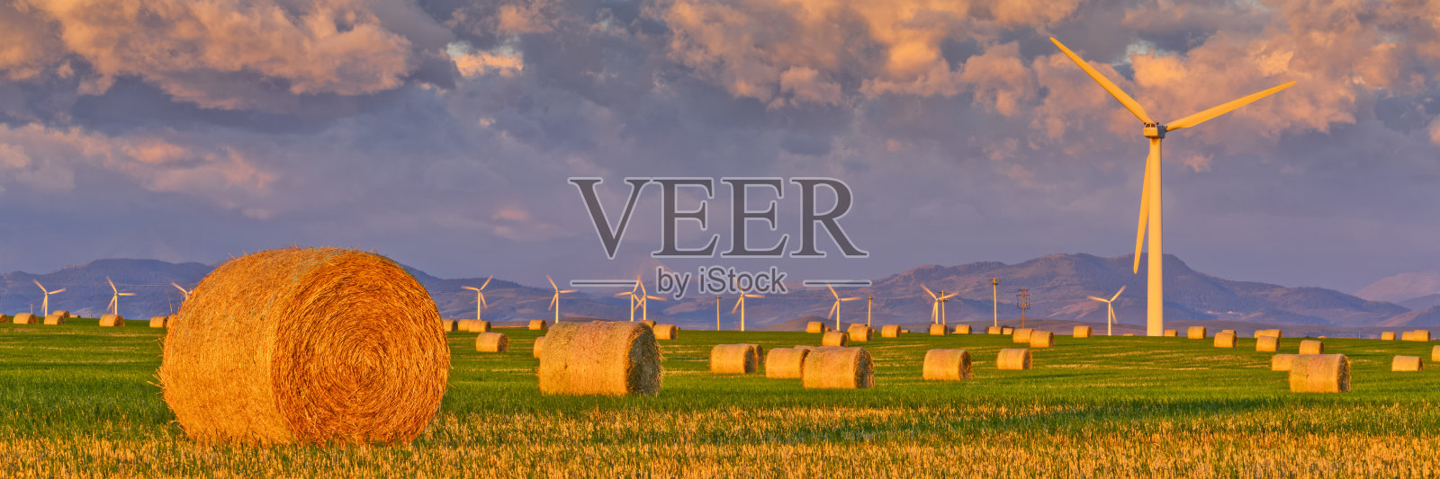 加拿大阿尔伯塔省农村照片摄影图片