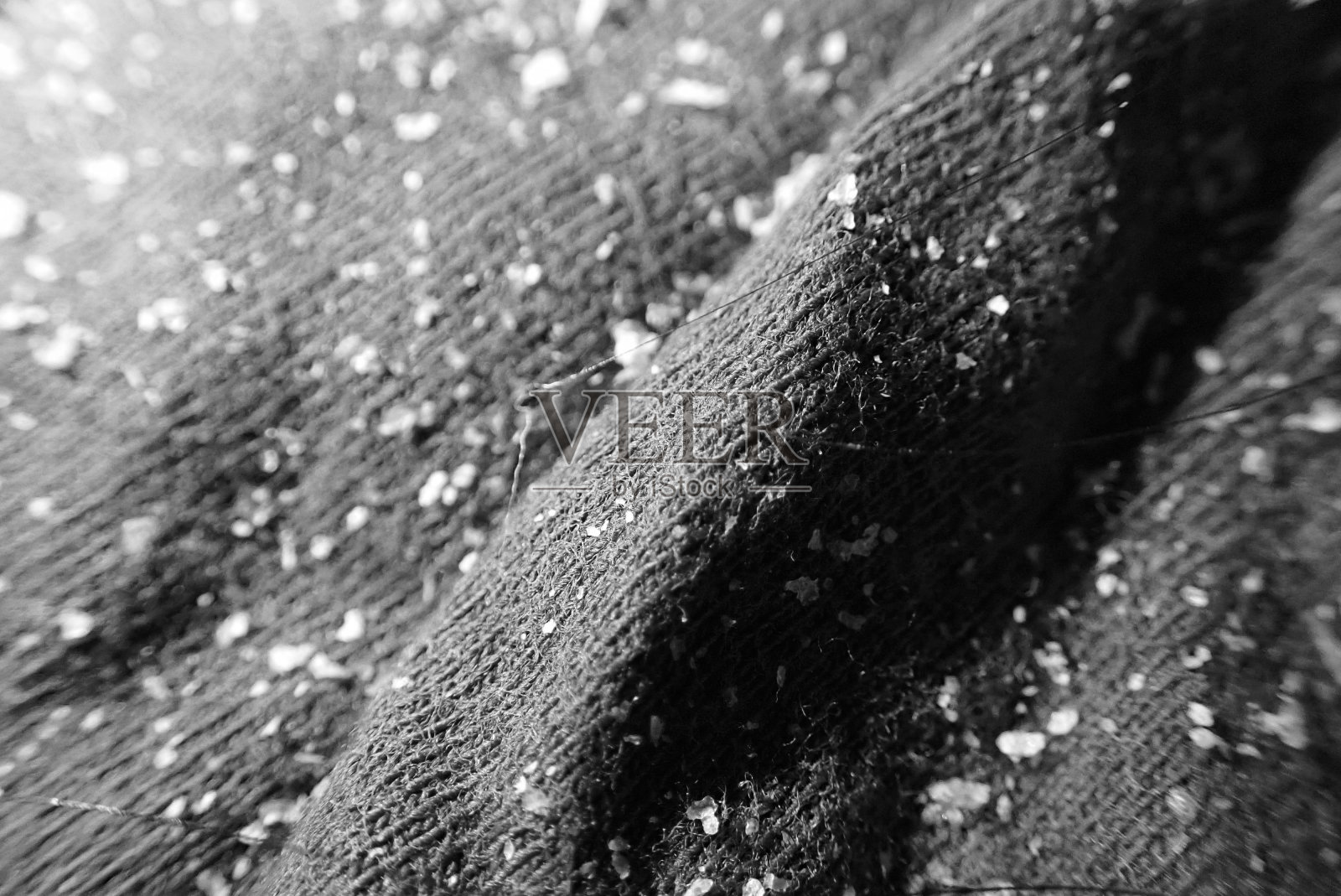 头皮屑照片摄影图片