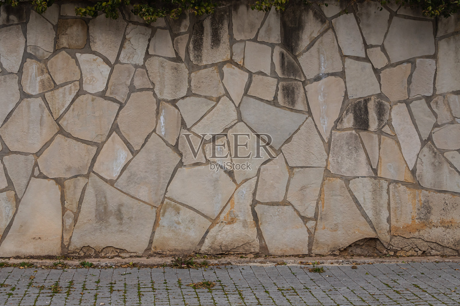 特写镜头照片摄影图片