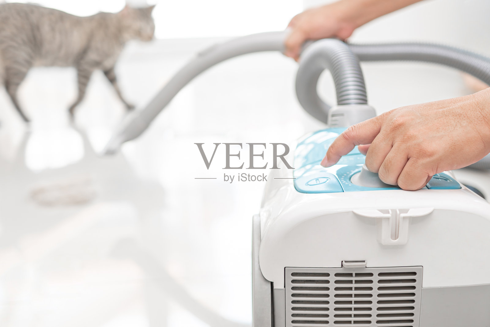 近距离观察，一名男子按下吸尘器的电源开关，吸进一只毛茸茸的猫来清洁房子的地板，背景是一只姜黄色的猫照片摄影图片