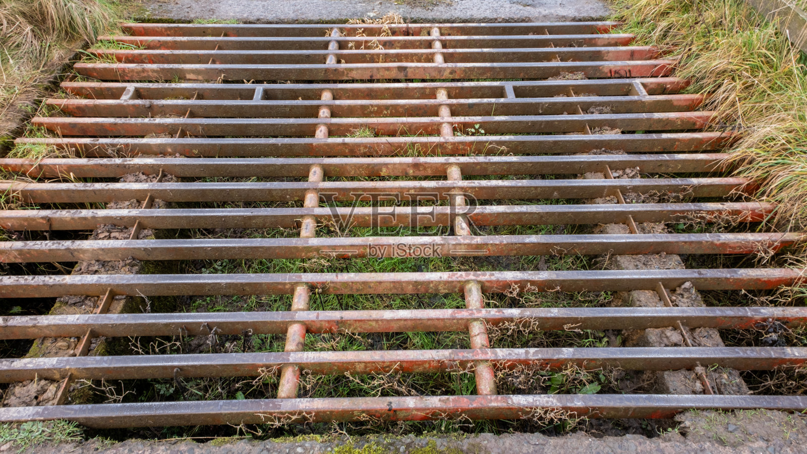 农场道路上锈迹斑斑的牛栅的特写照片摄影图片