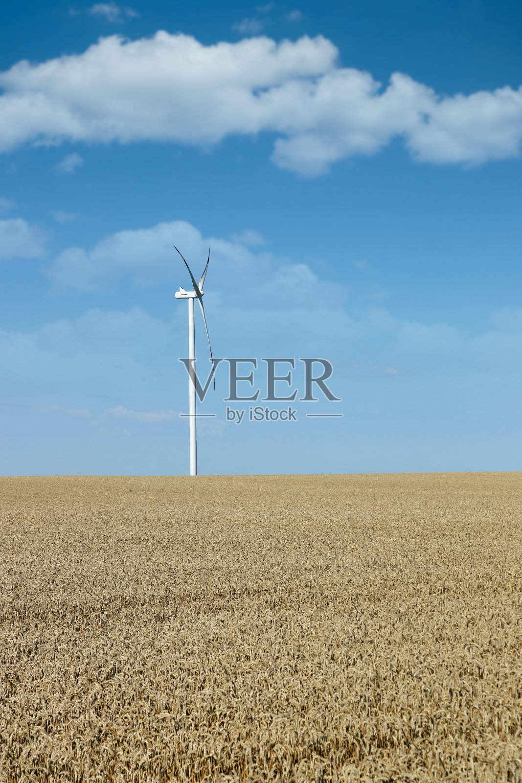 夏季麦田里的风力发电机照片摄影图片