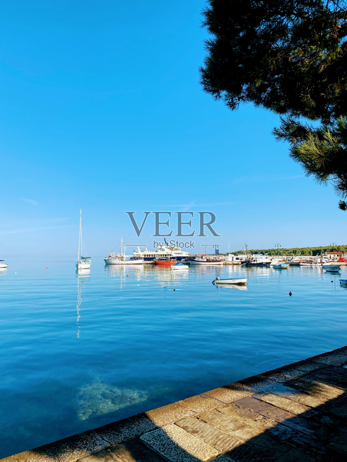 布里俄尼照片摄影图片