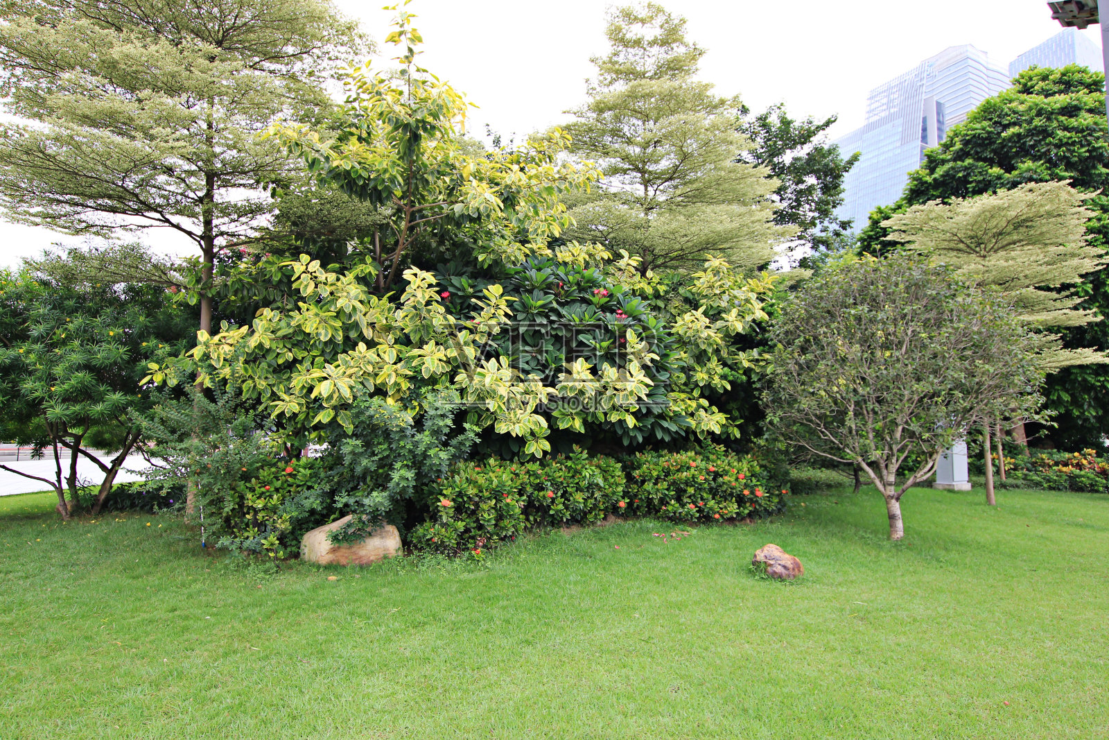 广东省广州珠江新城城市建筑照片摄影图片