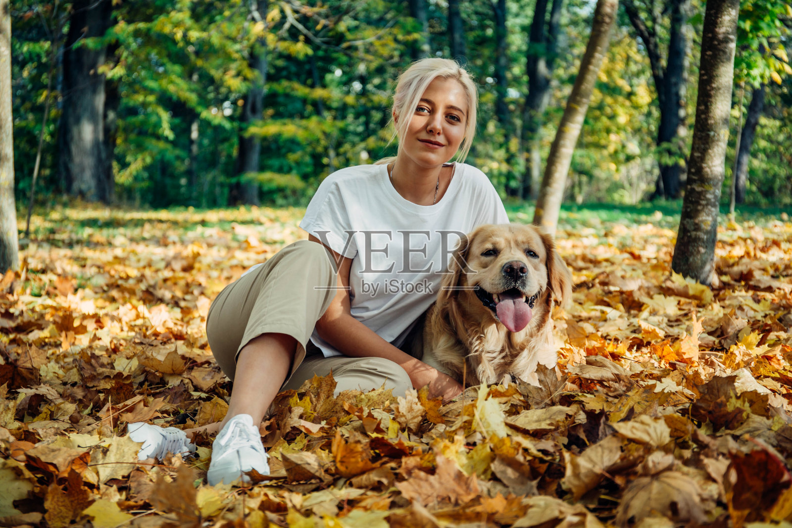 带着金毛猎犬的女孩在公园里照片摄影图片