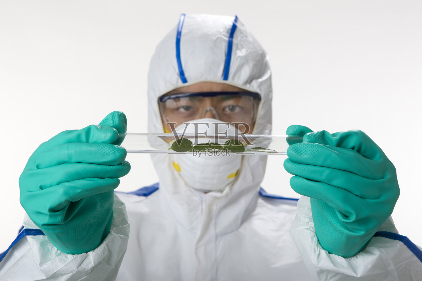 科研人员照片摄影图片