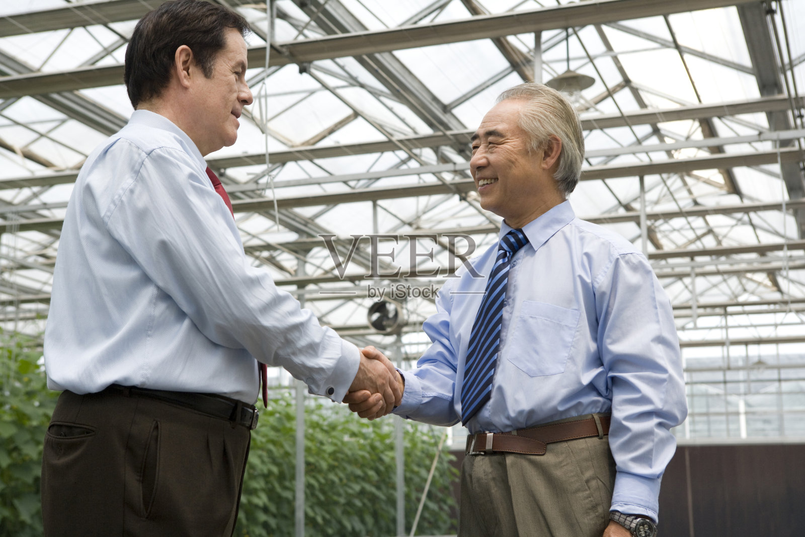 农业企业家在现代农庄照片摄影图片