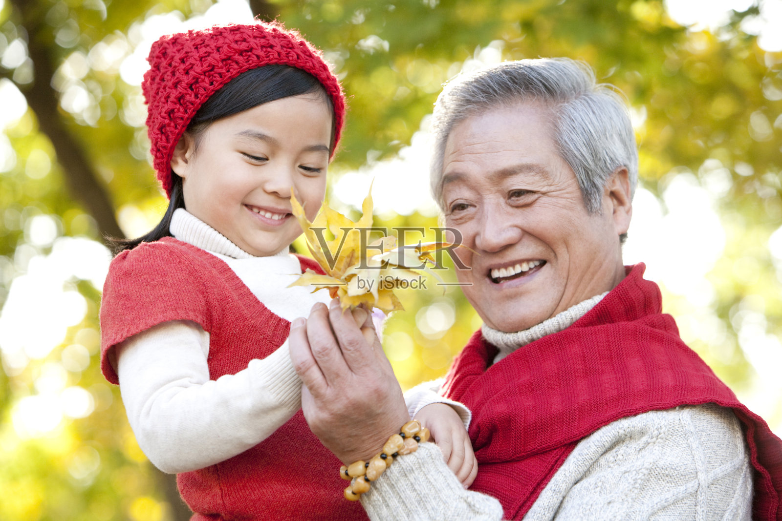 祖孙在一起嬉戏照片摄影图片