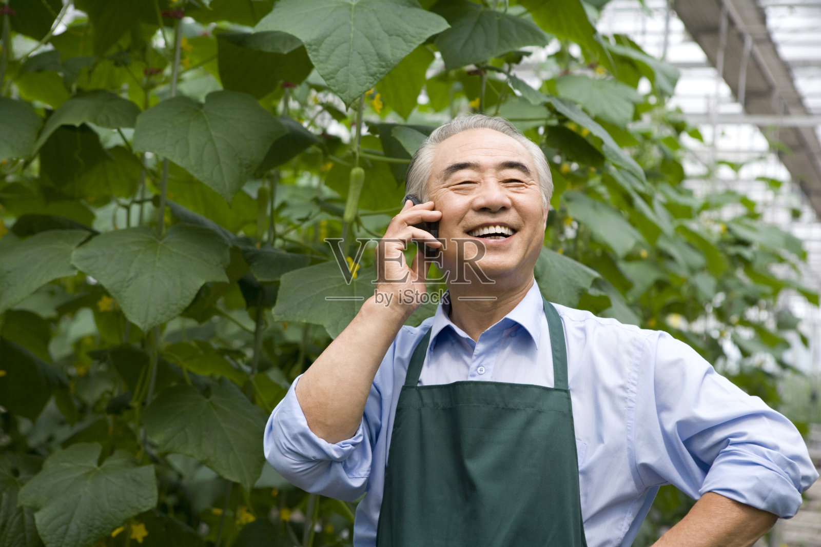 农场主打电话照片摄影图片