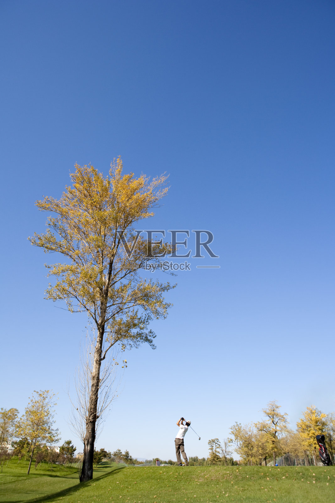 青年男子打高尔夫球照片摄影图片