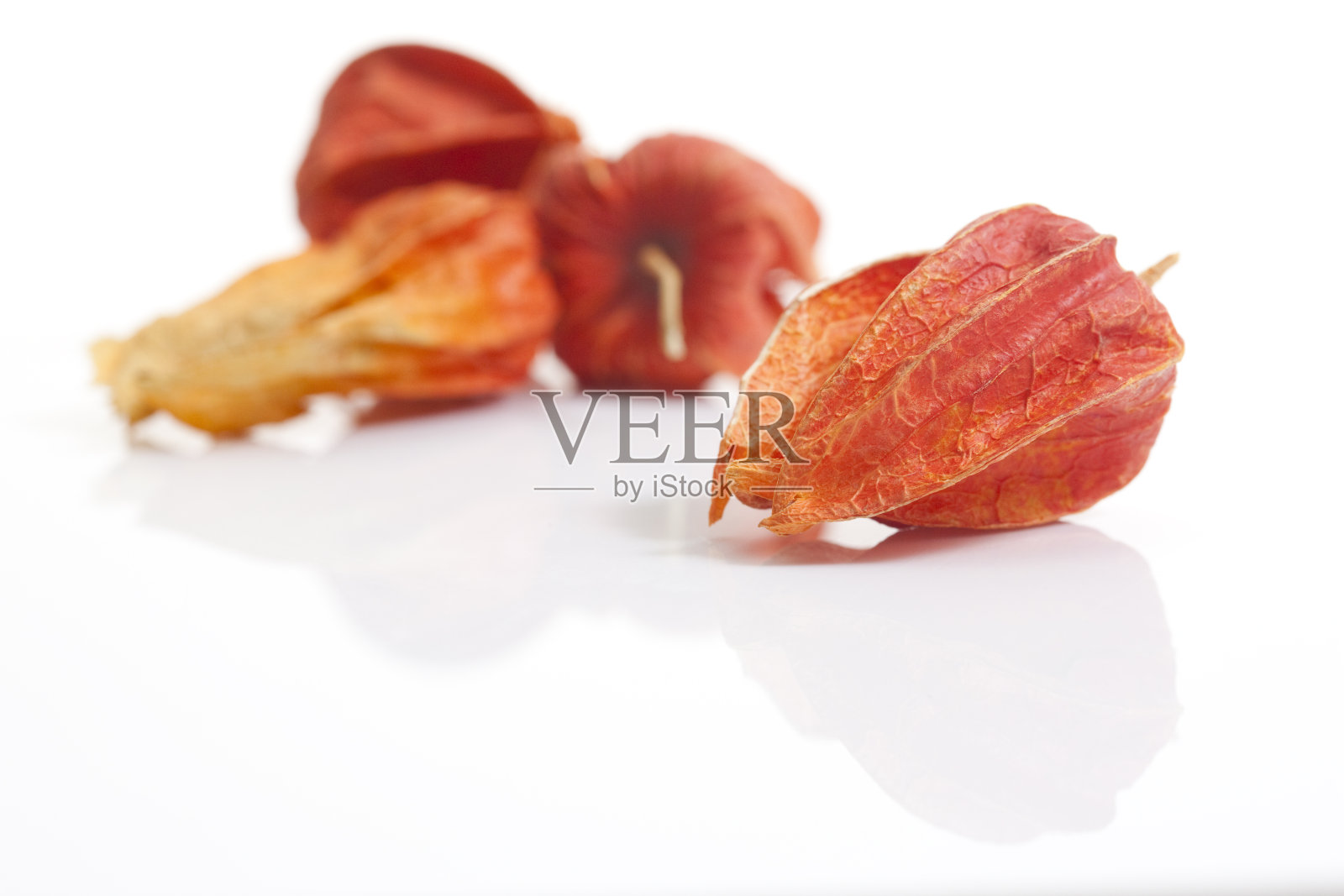 锦灯笼照片摄影图片