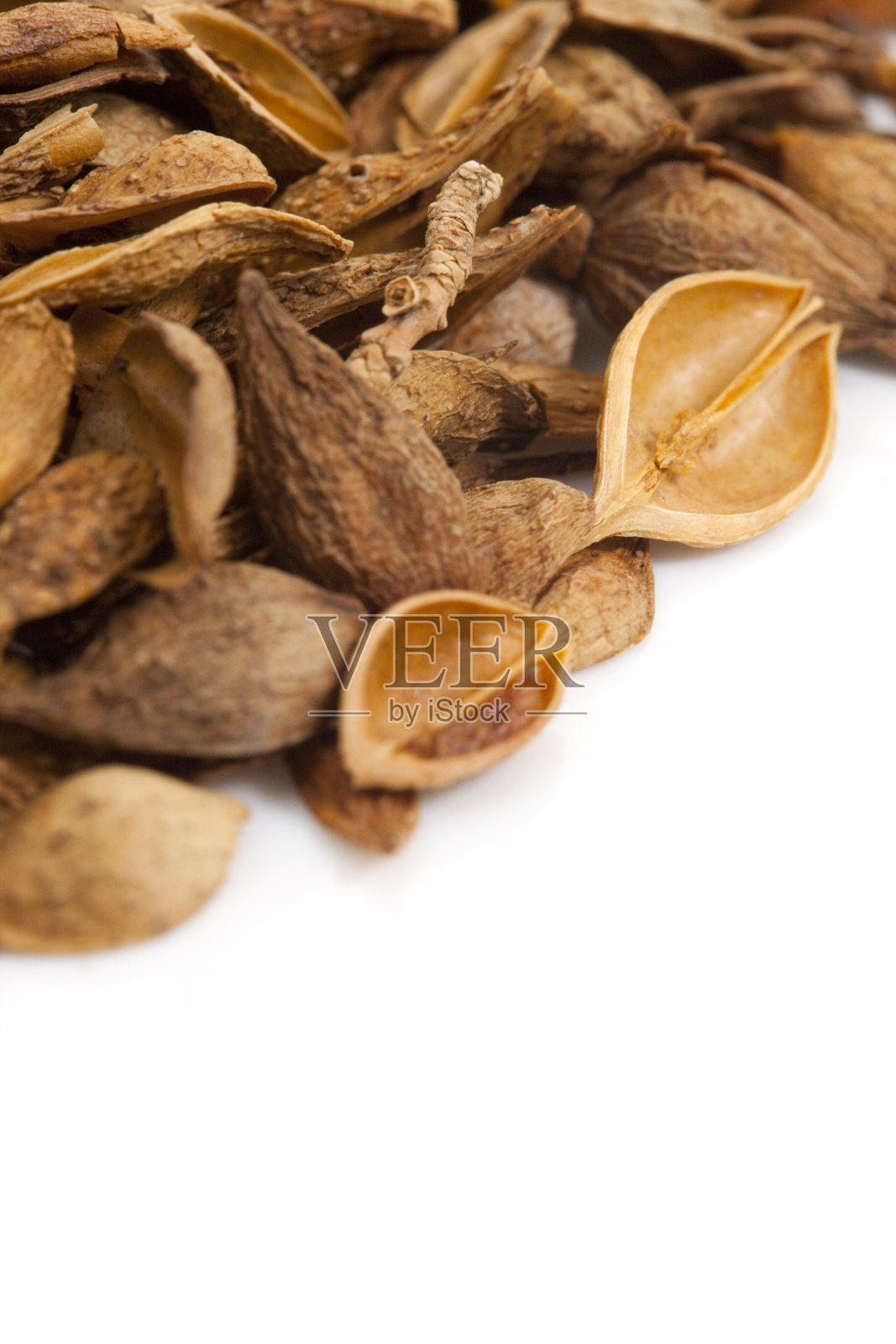 连翘照片摄影图片