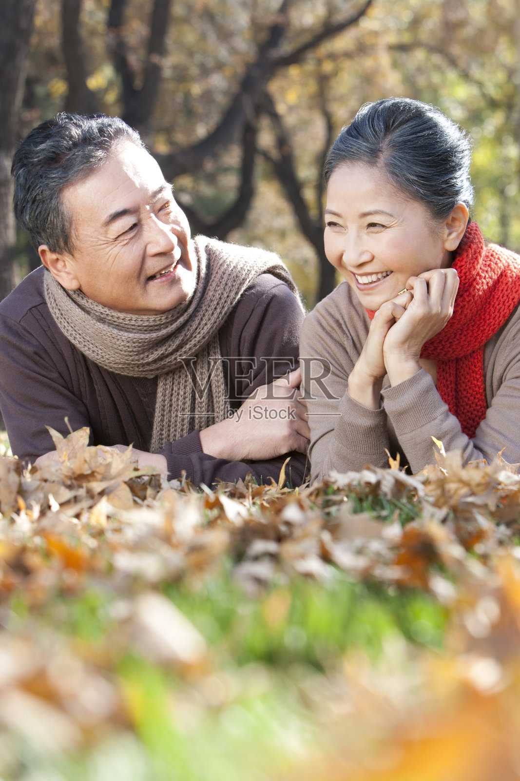 老年夫妇的秋日浪漫照片摄影图片